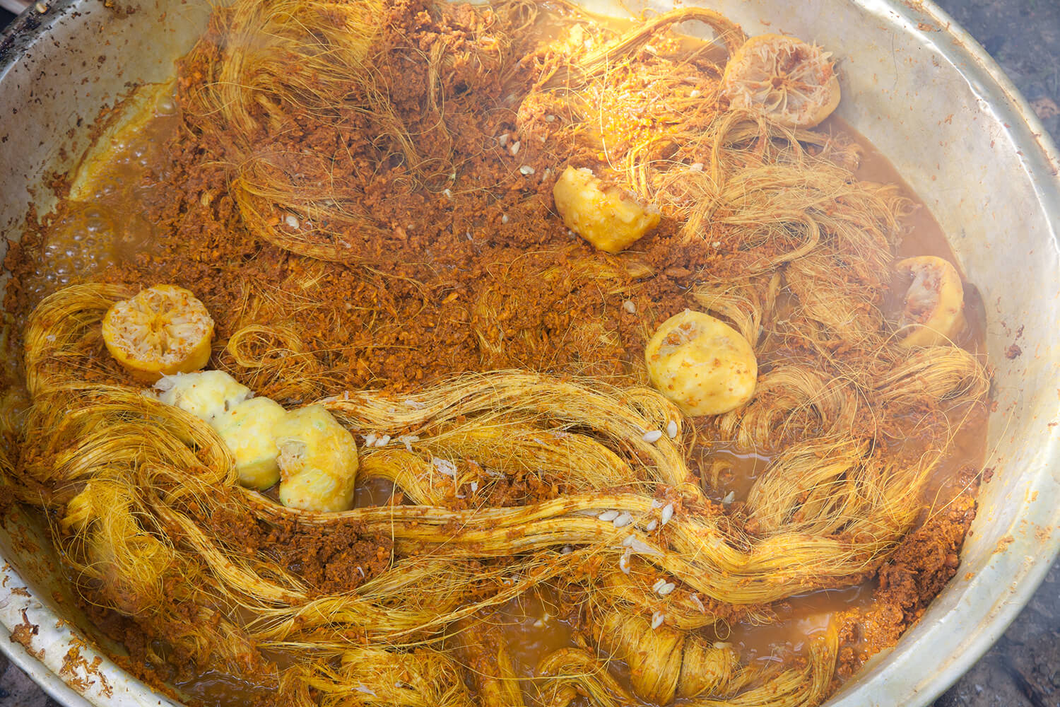 CURCUMA_galeria 24_MG_8729.jpg
